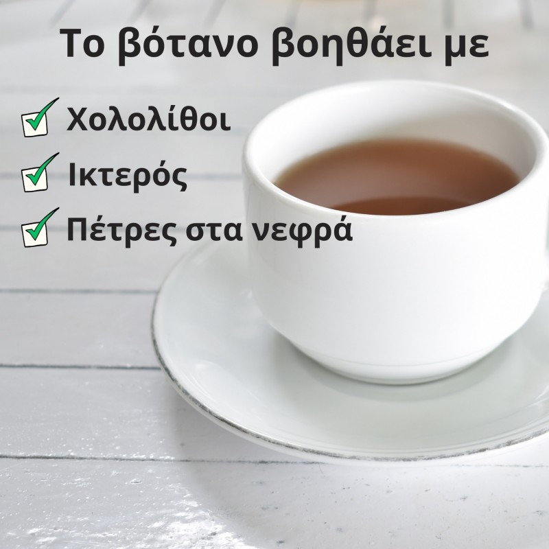 Ρίζα Πικραλίδασ - 3x100g
