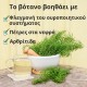 Aλογοουρά Μίσχο - 3x70g