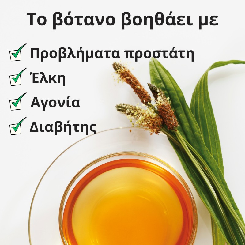 Αρνόγλωσσο - 3x70g