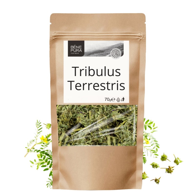 Tribulus Terrestris - 70g - Βότανα για χοληστερίνη