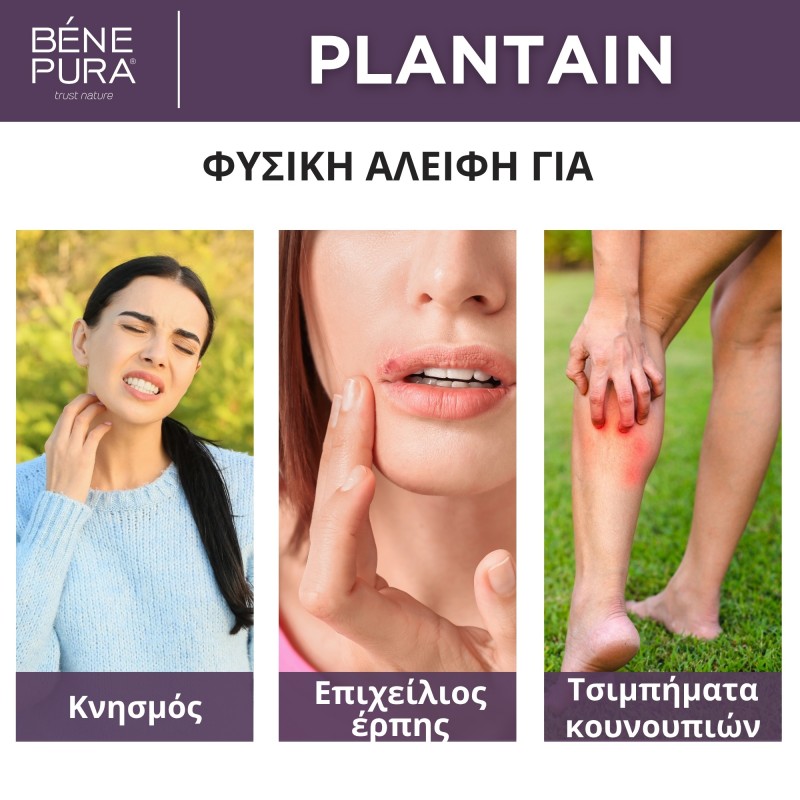 Αλοιφέσ για φαγουρα Set