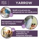 2x Αιμορροΐδεσ Αλοιφή με Αχιλλέα - 40 ml