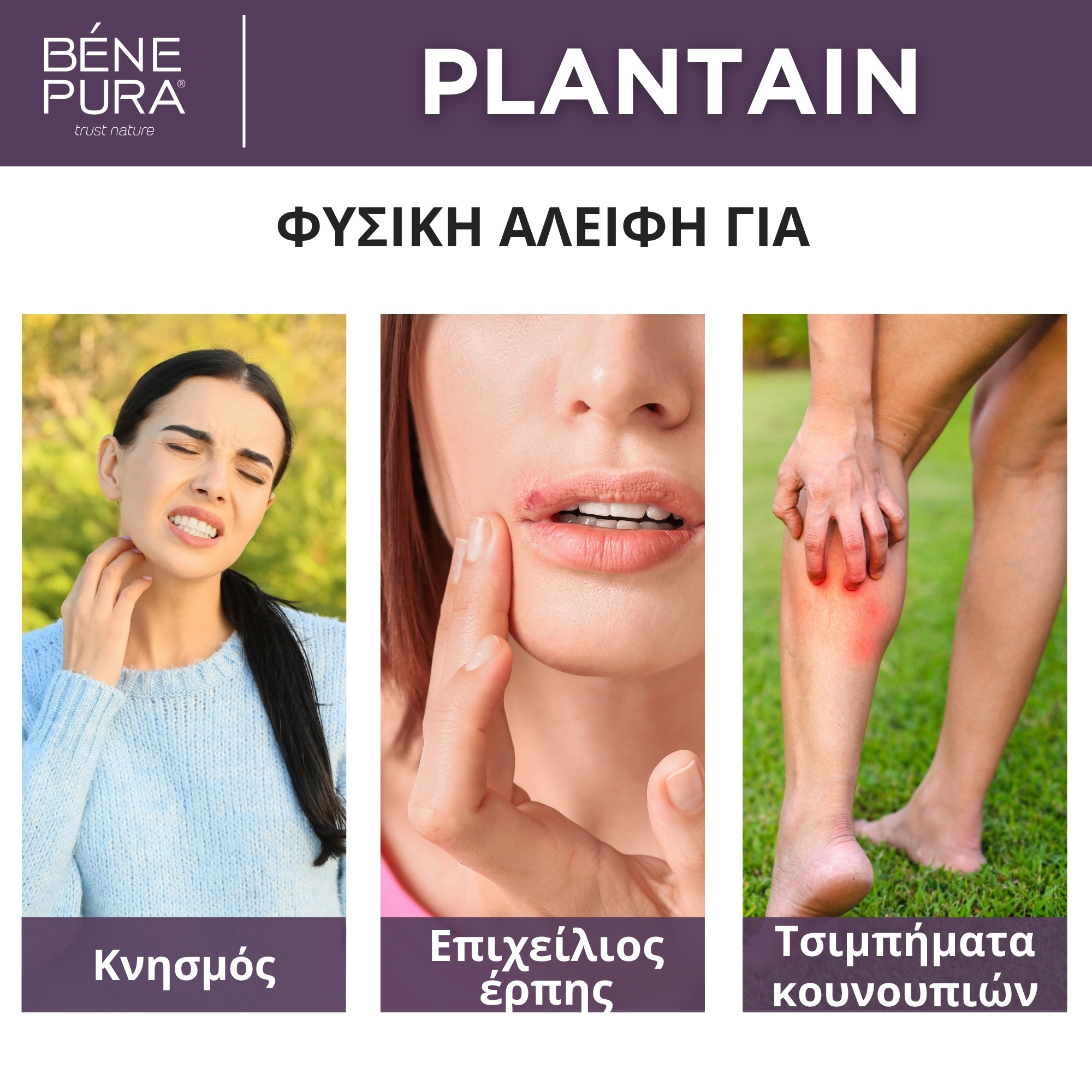 "Αλοιφέσ για φαγουρα" Set